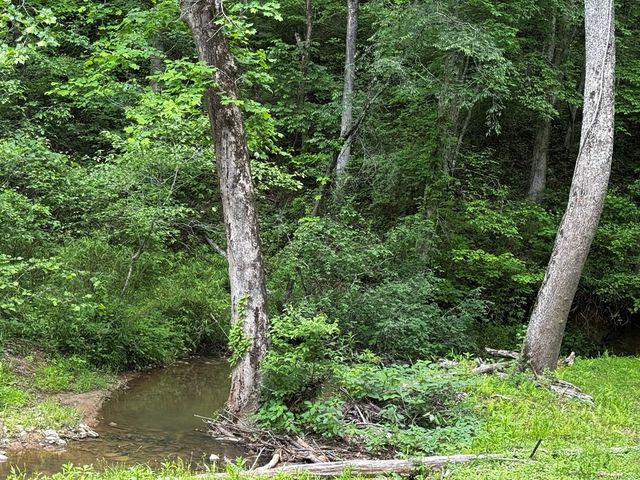 85 Cedar Road, Ellijay, GA 30540