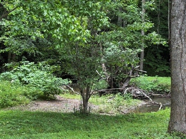 85 Cedar Road, Ellijay, GA 30540