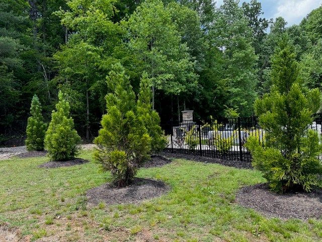 85 Cedar Road, Ellijay, GA 30540
