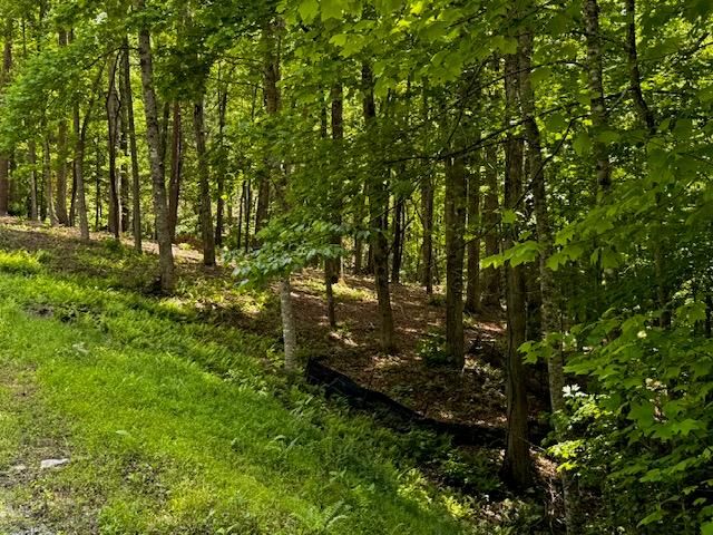 85 Cedar Road, Ellijay, GA 30540
