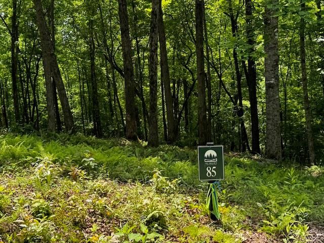 85 Cedar Road, Ellijay, GA 30540