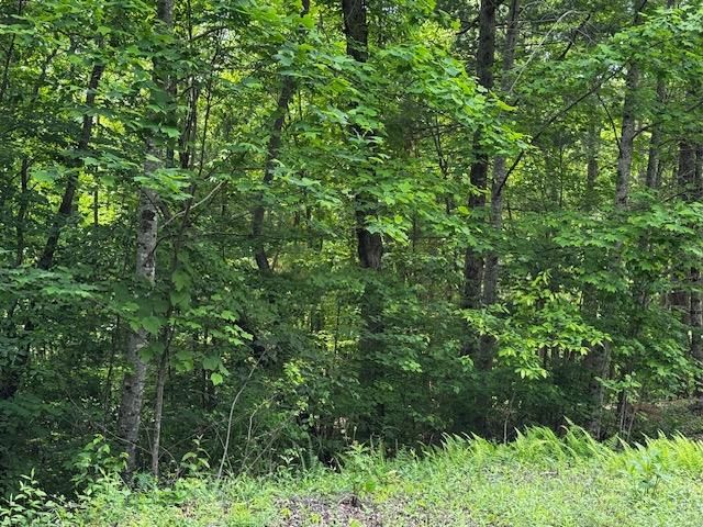 85 Cedar Road, Ellijay, GA 30540