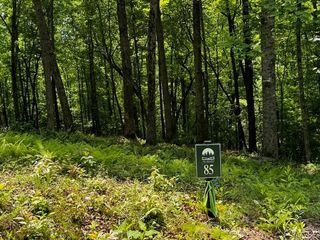 85 Cedar Road, Ellijay, GA 30540