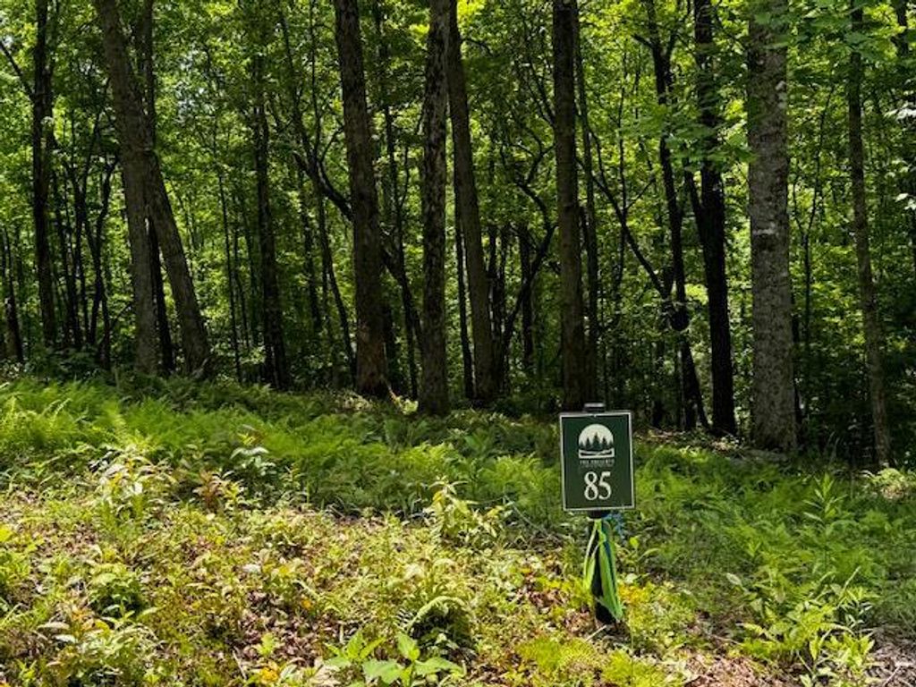 85 Cedar Road, Ellijay, GA 30540