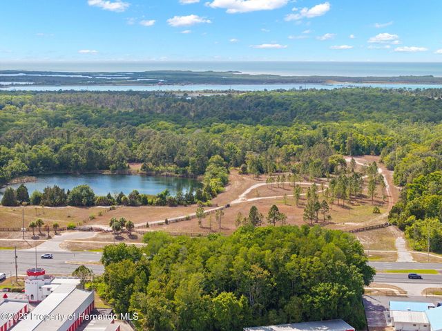 17322 Harmony Drive, Hudson, FL 34667