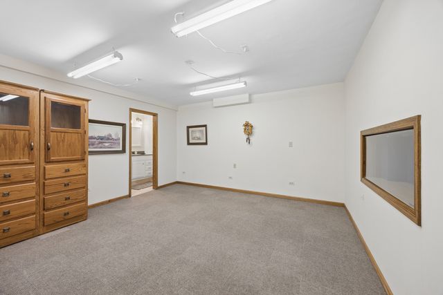 17119 Dooneen Avenue, Tinley Park, IL 60477