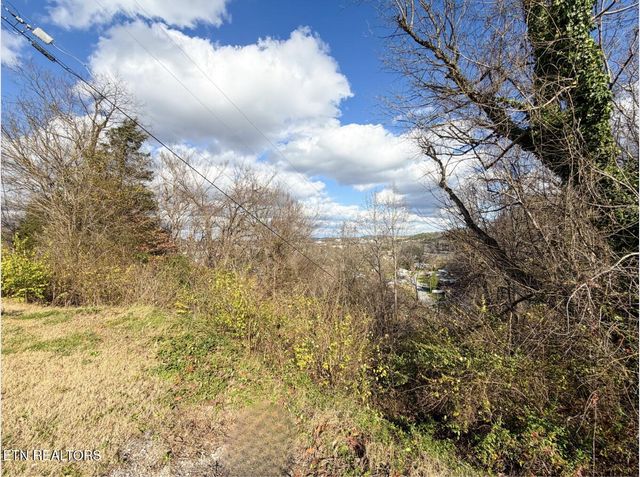 Lot 25 Scenic Loop Rd, Pigeon Forge, TN 37863