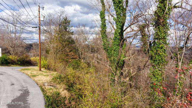 Lot 25 Scenic Loop Rd, Pigeon Forge, TN 37863