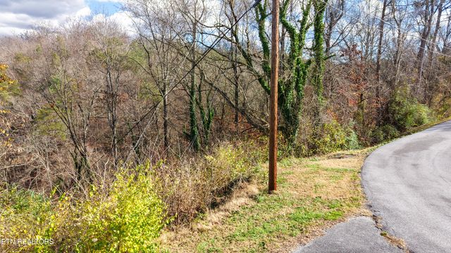 Lot 25 Scenic Loop Rd, Pigeon Forge, TN 37863