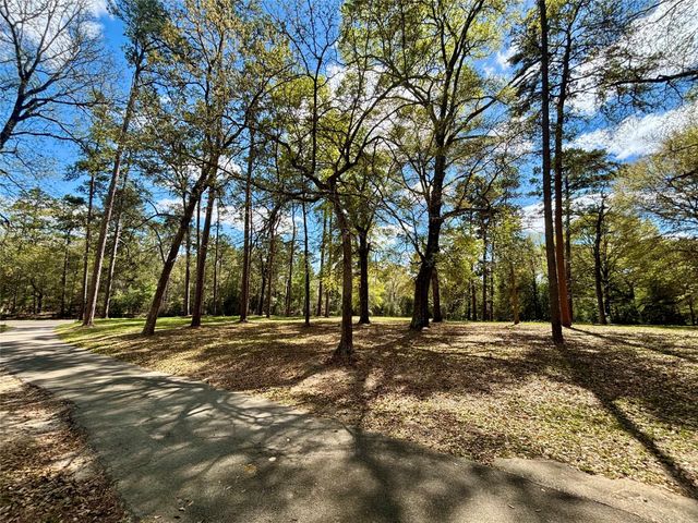 1733 Us Highway 190 E, Woodville, TX 75979