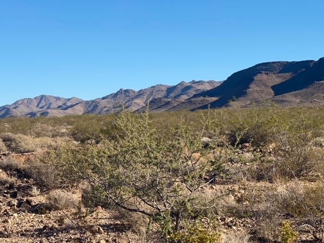 80 acres Unkar, Golden Valley, AZ 86413