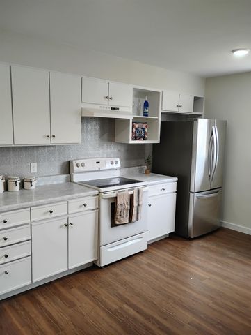 511 Woodworth Avenue, Pleasant, MI 48858