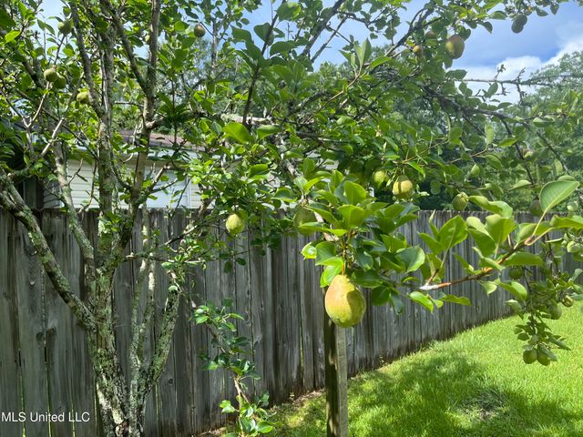 7701 Harold Avenue, Moss Point, MS 39563