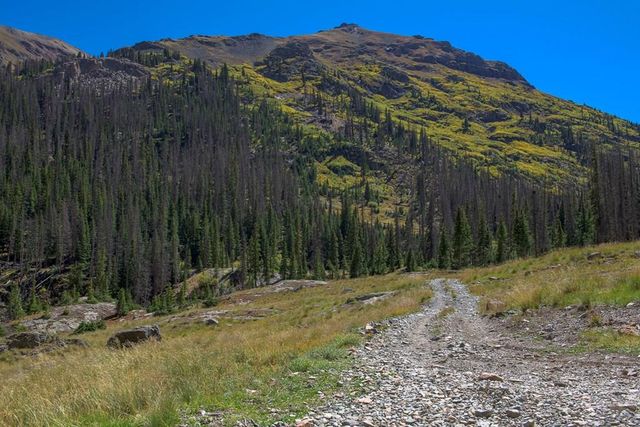 19000 County Rd 30, Lake City, CO 81235