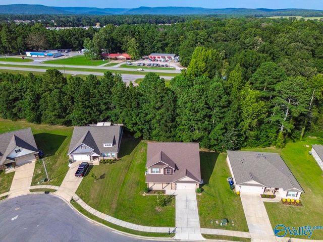119 Wyatt Circle, Owens Cross Roads, AL 35763
