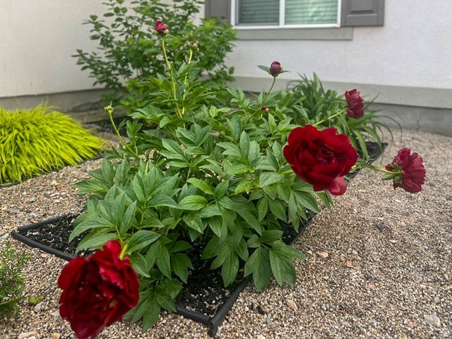 1029 N BEXLEY DR, North Salt Lake, UT 84054