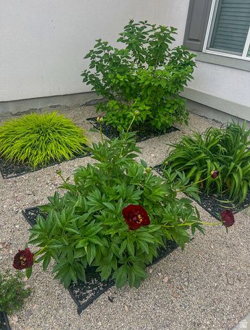 1029 N BEXLEY DR, North Salt Lake, UT 84054