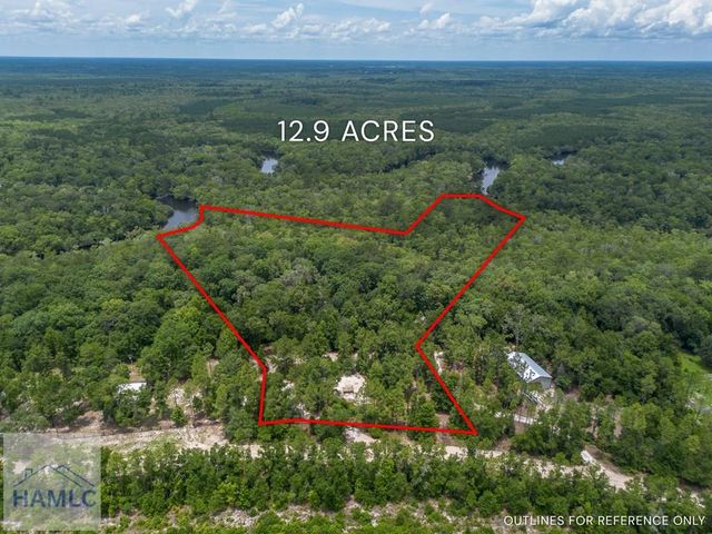 1360 Douglas Fish Camp Road, White Oak, GA 31568