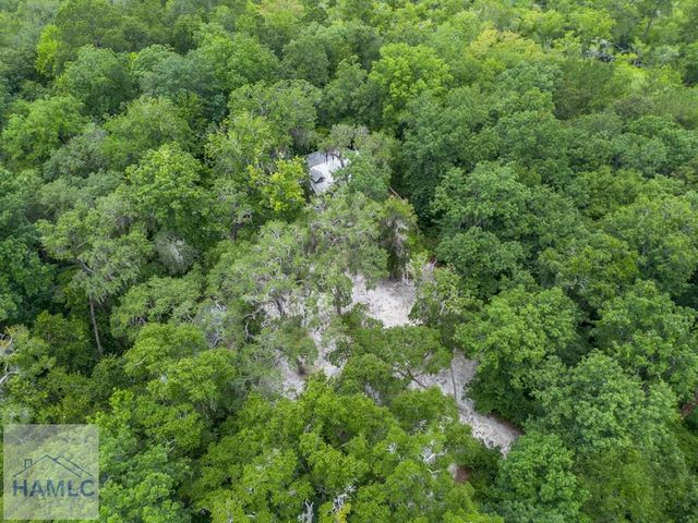 1360 Douglas Fish Camp Road, White Oak, GA 31568