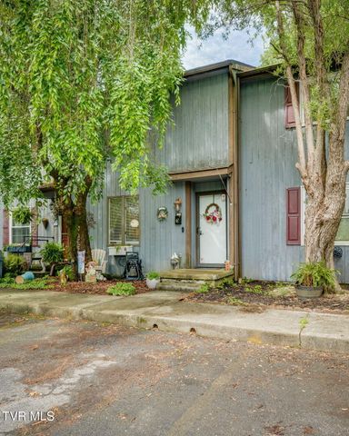716 Carolina Avenue Apt C, Bristol, TN 37620