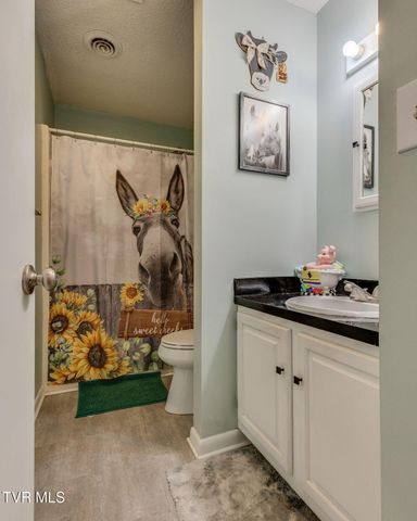 716 Carolina Avenue Apt C, Bristol, TN 37620