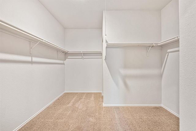 204 Lily Pond TRL, San Marcos, TX 78666