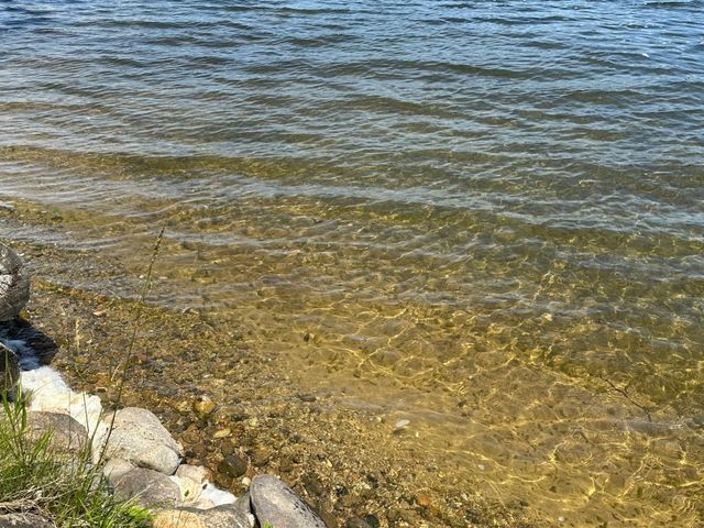 3775 W Cedar Lake Road, Greenbush, MI 48738