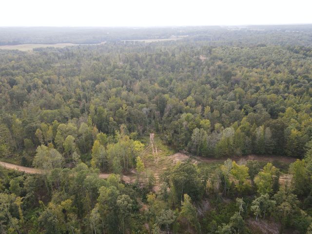 0 Copper Spring Road, Springville, TN 38256