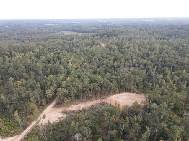 0 Copper Spring Road, Springville, TN 38256