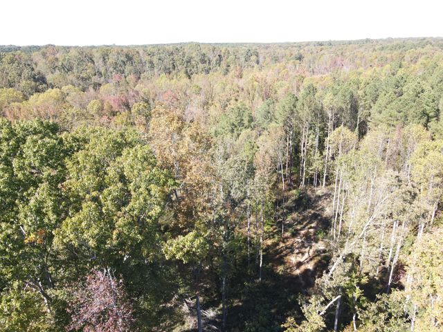 0 Copper Spring Road, Springville, TN 38256