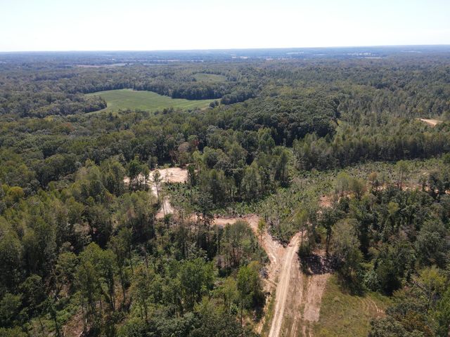0 Copper Spring Road, Springville, TN 38256