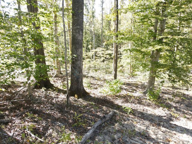 0 Copper Spring Road, Springville, TN 38256