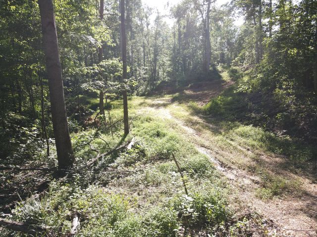 0 Copper Spring Road, Springville, TN 38256