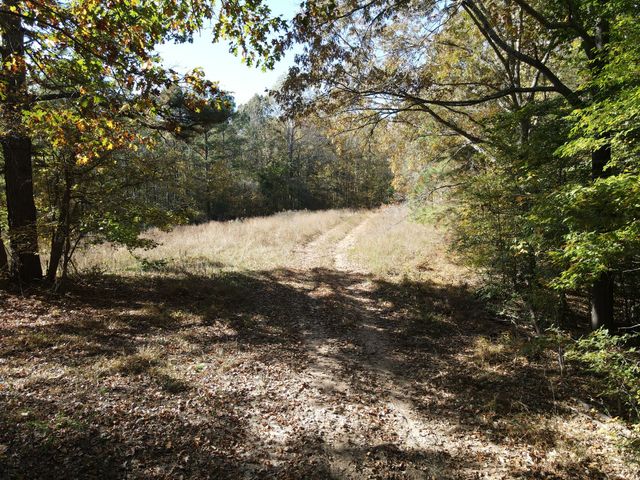 0 Copper Spring Road, Springville, TN 38256