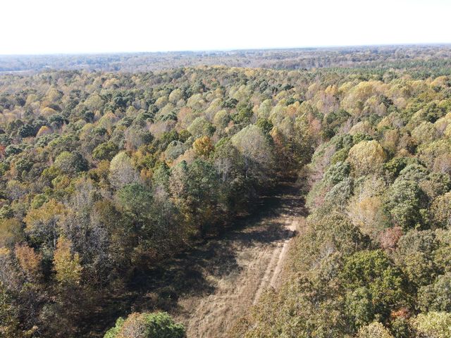 0 Copper Spring Road, Springville, TN 38256