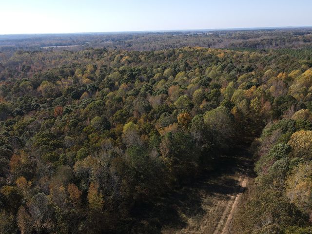 0 Copper Spring Road, Springville, TN 38256