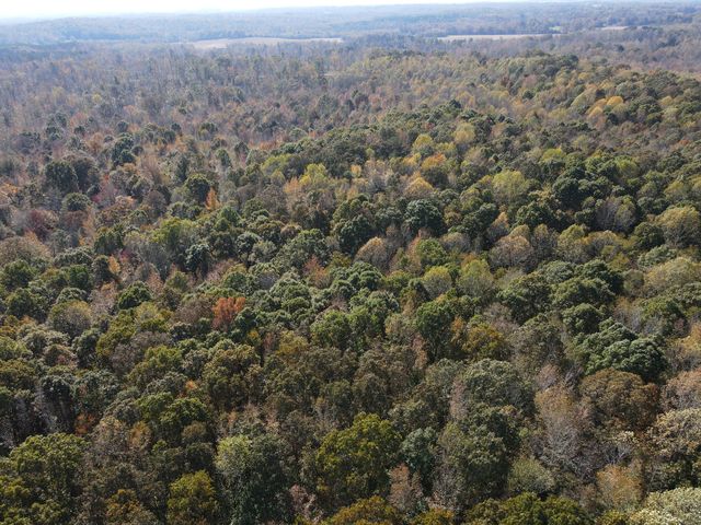 0 Copper Spring Road, Springville, TN 38256
