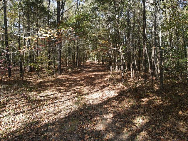 0 Copper Spring Road, Springville, TN 38256
