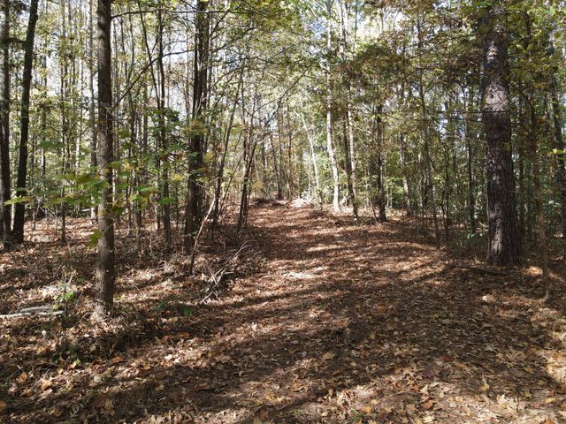 0 Copper Spring Road, Springville, TN 38256
