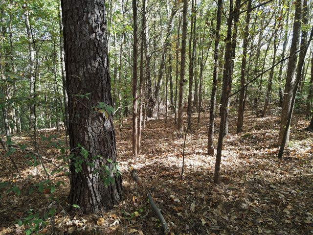 0 Copper Spring Road, Springville, TN 38256