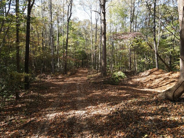 0 Copper Spring Road, Springville, TN 38256