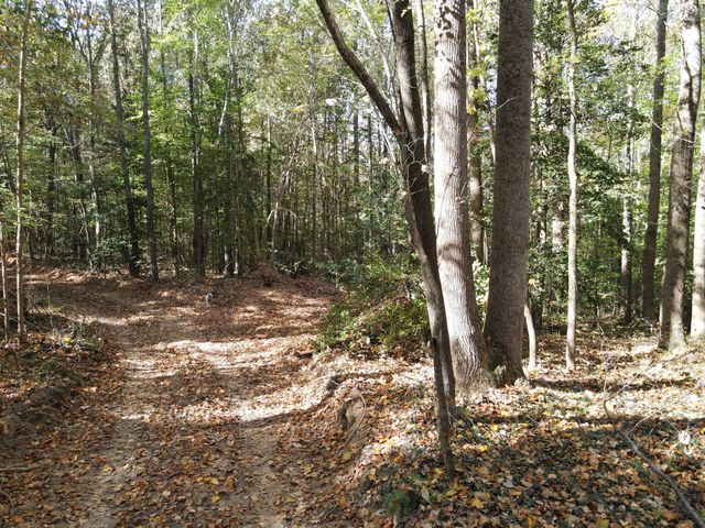 0 Copper Spring Road, Springville, TN 38256