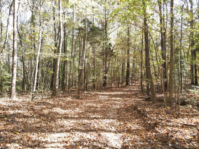 0 Copper Spring Road, Springville, TN 38256