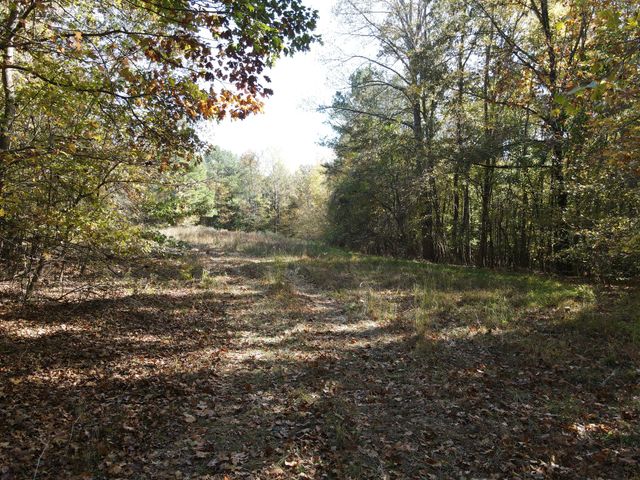 0 Copper Spring Road, Springville, TN 38256