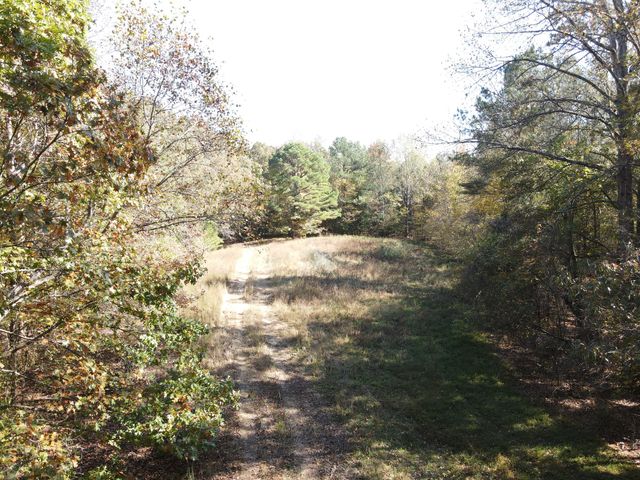 0 Copper Spring Road, Springville, TN 38256