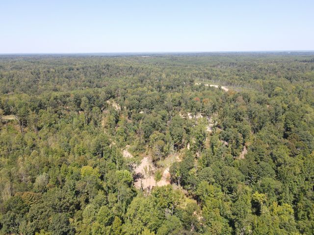 0 Copper Spring Road, Springville, TN 38256