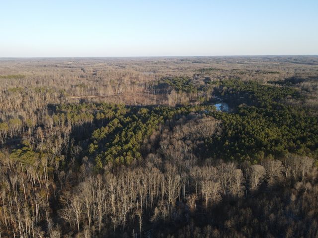 0 Copper Spring Road, Springville, TN 38256