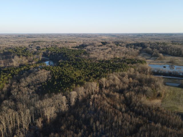 0 Copper Spring Road, Springville, TN 38256