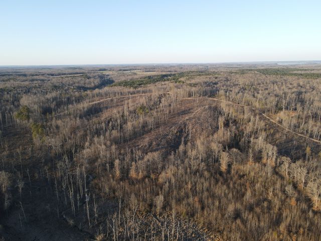 0 Copper Spring Road, Springville, TN 38256