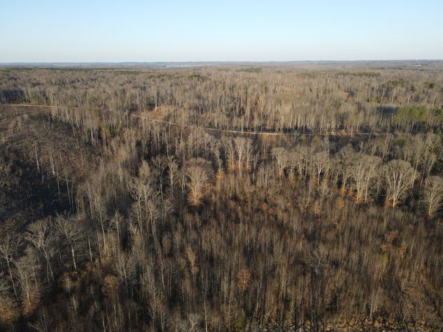 0 Copper Spring Road, Springville, TN 38256